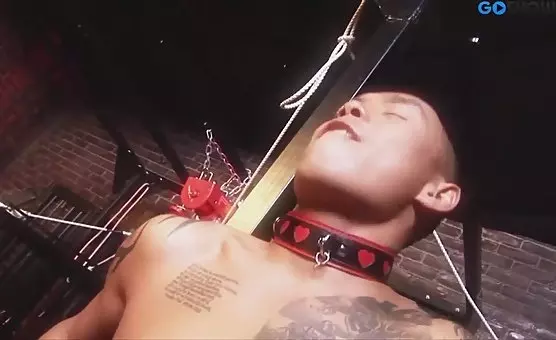 Femdom Submissive Slave